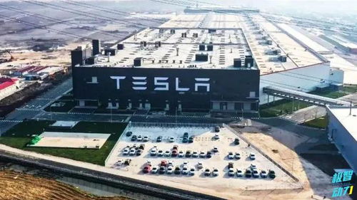 降低成本這招我會 豐田開發新車身技術，直指行業成本命門